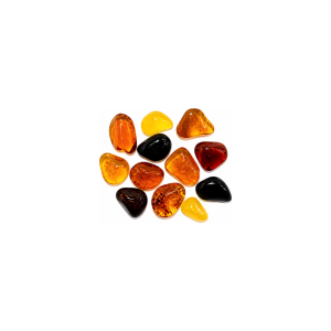 Ambre naturel – 7 à 17mm – Riviera Gems
